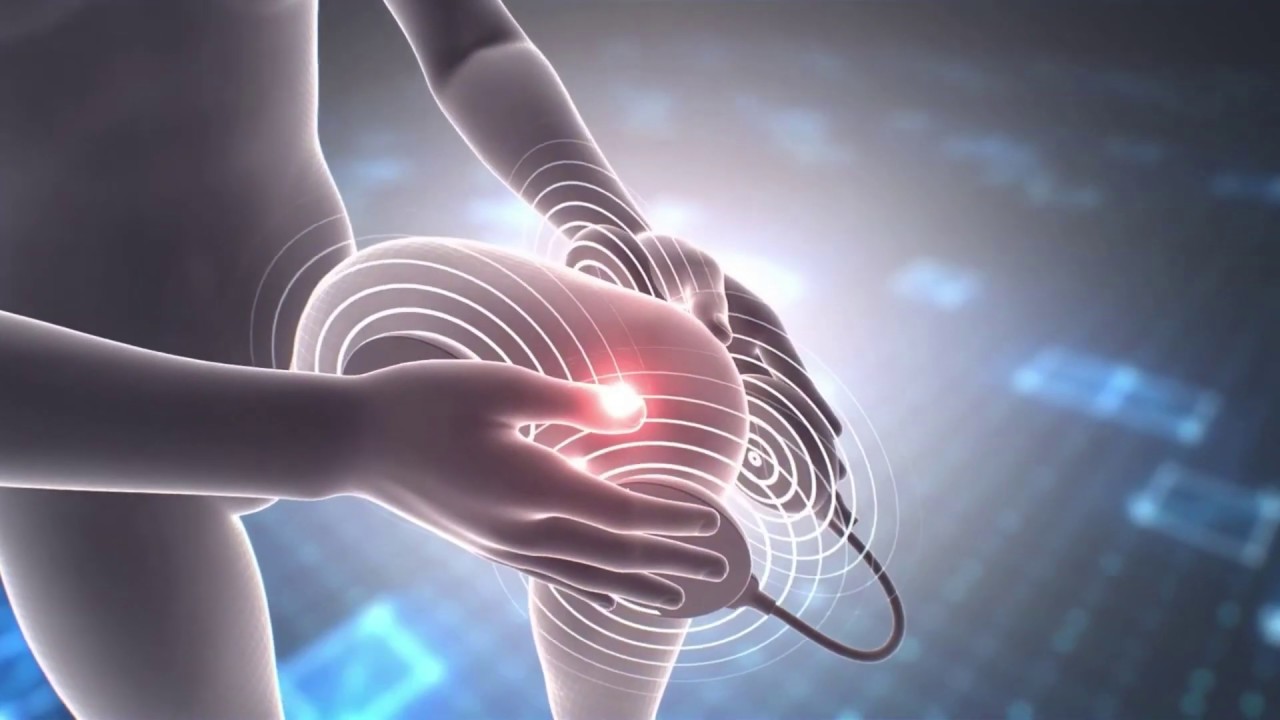 Природа и прогулки